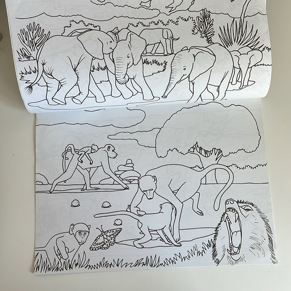 Blue Rhino African Wildlife Tonga Coloring Book Souvenir - Picture 4 of 8